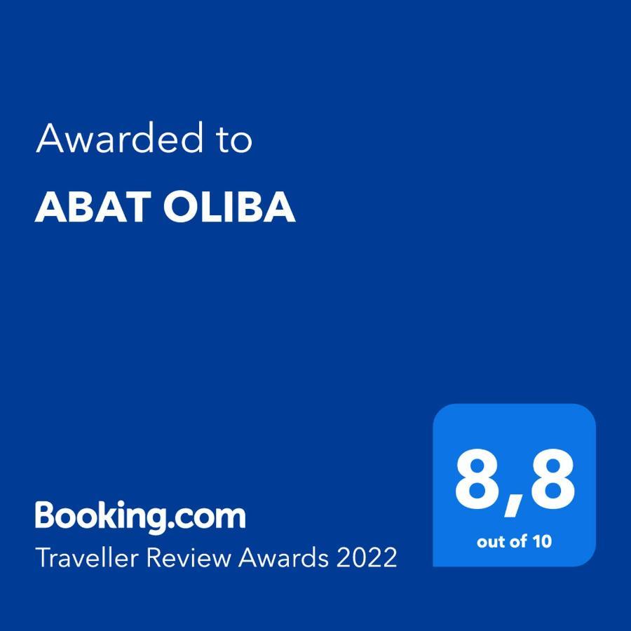 Abat Oliba Apartment Puigcerdà Екстериор снимка